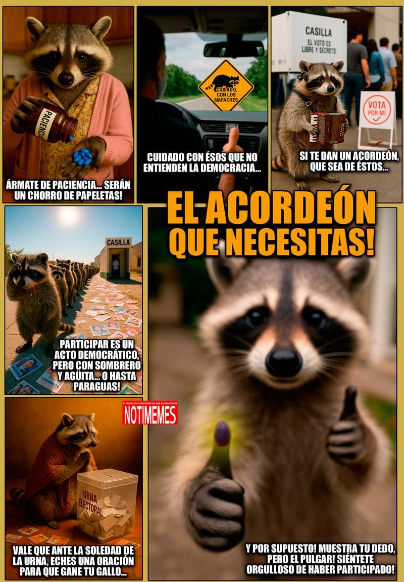 NOTI-MEMES | - EL ACORDEÓN QUE NECESITAS!, image size:800x1150