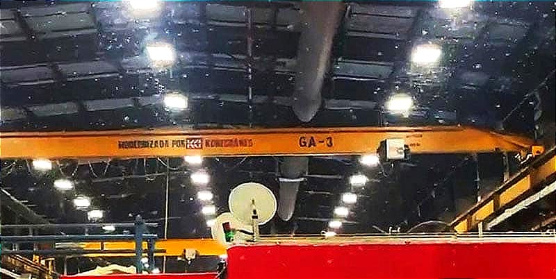 ¡ATACAN TERMITAS VOLADORAS! - PLAGA ALADA