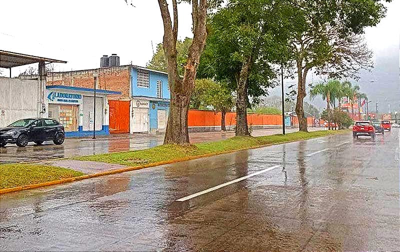 ¡Y LES LLOVIÓ! - Luego de Semanas de Sequía e Incendios Forestales que Devastaron Más de Dos Mil Hectáreas