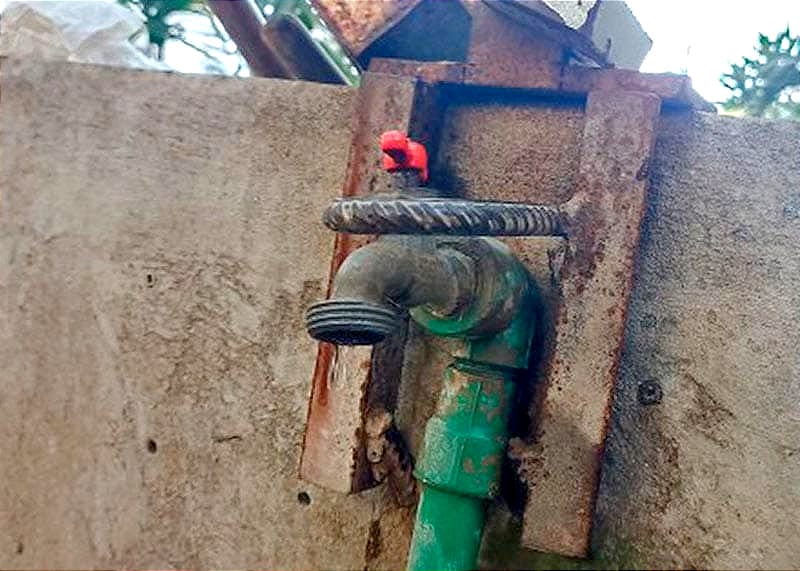 ¡SE DESCONCHIFLAN PLANTAS DE EL TEJAR!