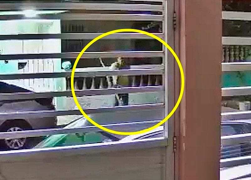 ¡LO GRABAN ROBANDO TUBERÍA DE COBRE EN CASAS! - PONEN EN ALERTA A VECINOS DEL INFONAVIT BUENAVISTA