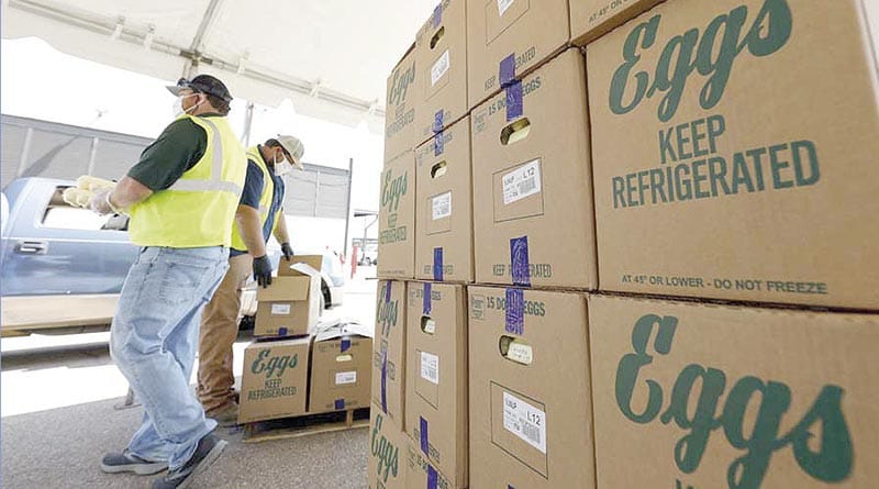 ¡PARAN LA PRODUCCIÓN DE HUEVOS POR GRIPE AVIAR! - EL MAYOR PRODUCTOR DE HUEVO DE EU