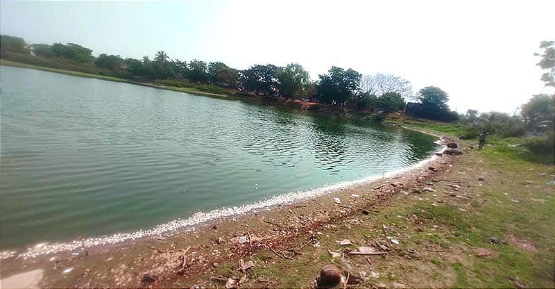 ¡SE DESLINDA GRUPO MAS DE MORTANDAD DE PECES!