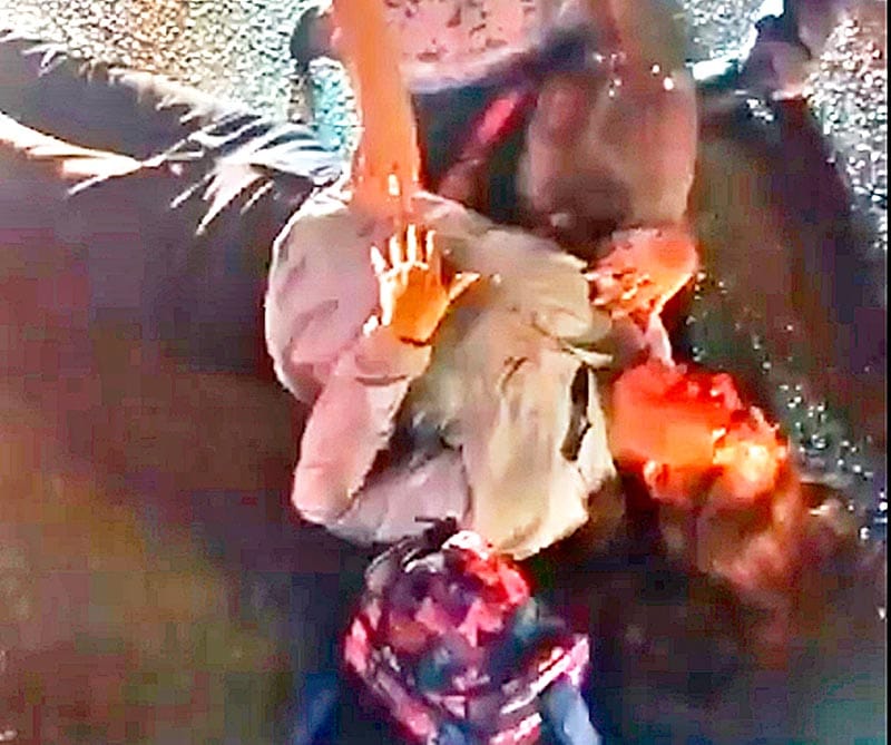 ¡SEÑORA ARROLLADA POR TAXISTA!