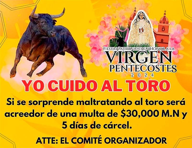 ¡MULTAS Y CÁRCEL! - *30 MIL Y CINCO DÍAS