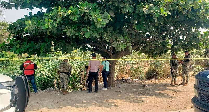 ¡PIERDE LA VIDA POR GOLPE DE CALOR EN COSAMALOAPAN! - *SE DESPLOMÓ CUANDO ESTABA DEBAJO DE UN ÁRBOL