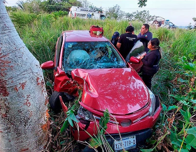 ¡PIERDE LA BRÚJULA Y SE ESTRELLA CONTRA EL ÁRBOL!