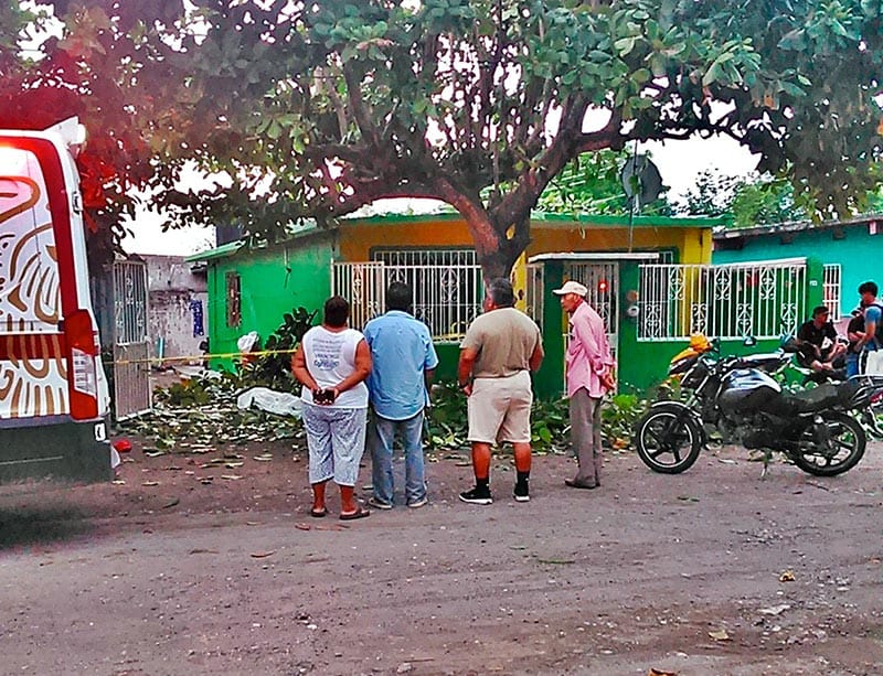 ¡CAYÓ DE CABEZA! - ANDABA PODANDO TREPADO EN EL ÁRBOL