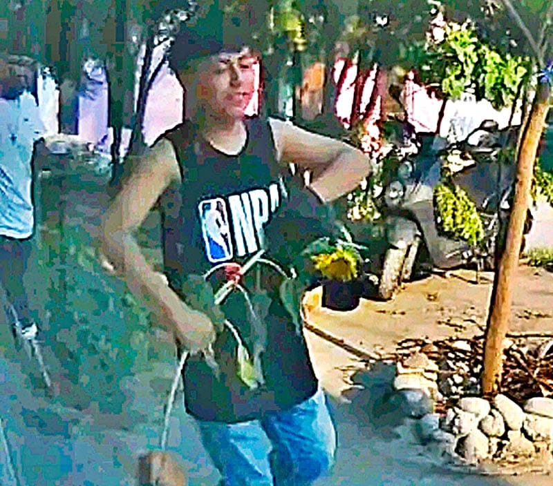 ¡QUINCEAÑERO LE ROBÓ LOS GIRASOLES A SU VECINA!