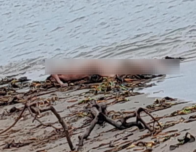 ¡VENDEDOR DE DULCES APARECE MUERTO A LA ORILLA DEL RÍO!