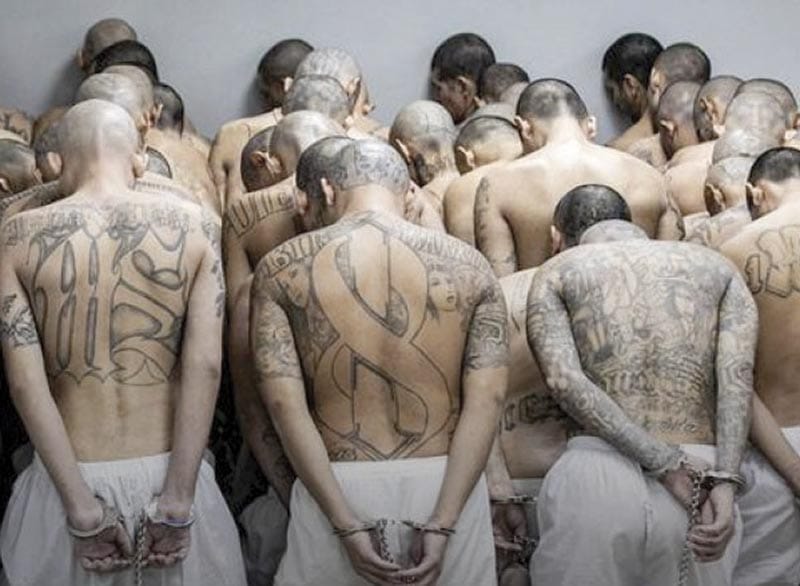 ¡ENTRAN DOS MIL PANDILLEROS A MEGACÁRCEL DE EL SALVADOR!