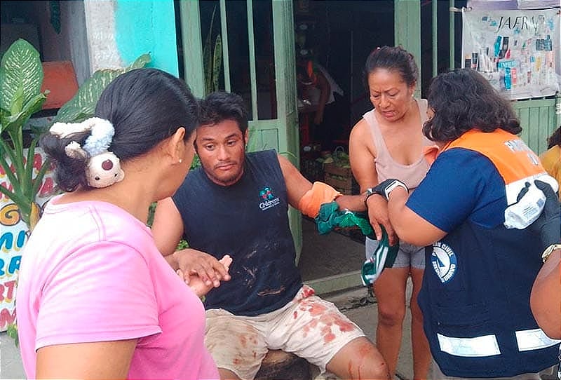 ¡ATACA “NINJA” EN ARBOLEDAS SAN MIGUEL!