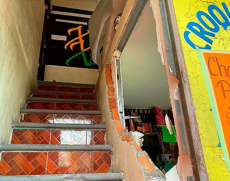 ¡SE DESPACHA EL GYM Y LA TIENDA PARA MASCOTAS!