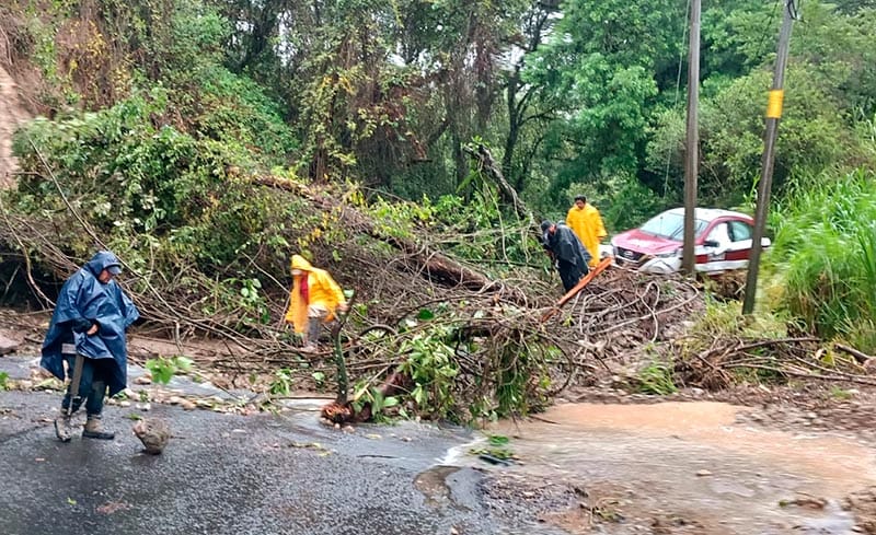 ¡TAXISTA SEPULTADO POR DESGAJAMIENTO DE UN CERRO! - CARRETERA FEDERAL A FORTÍN
