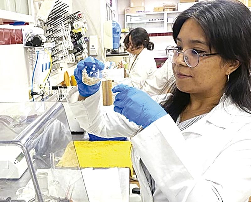 ¡ONCE LICENCIATURAS DEL TEC DE VERACRUZ ACREDITADAS AL 100%!