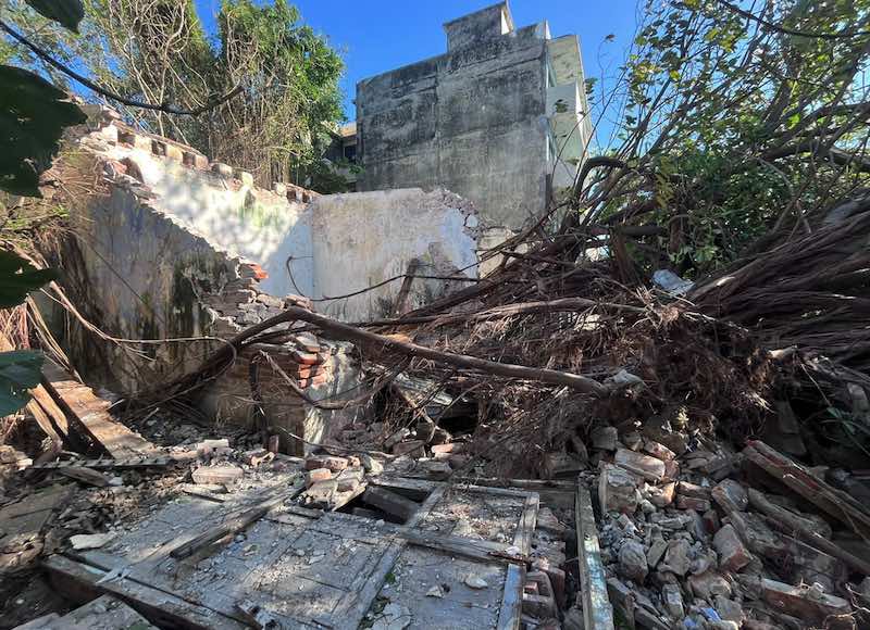 ¡NORTAZO TIRÓ ENORME ÁRBOL EN EL CENTRO HISTÓRICO!