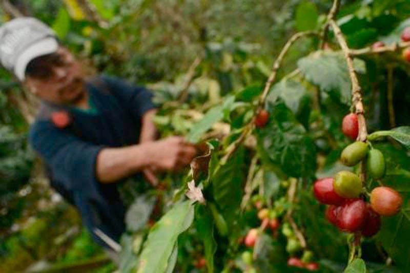 ¡GOBIERNO FEDERAL FAVORECE A EMPRESA TRASNACIONAL! - YA SE SUPO