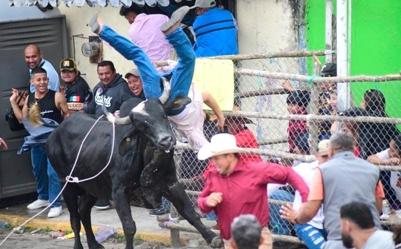¡SUELTAN LOS TOROS! - A CORRER