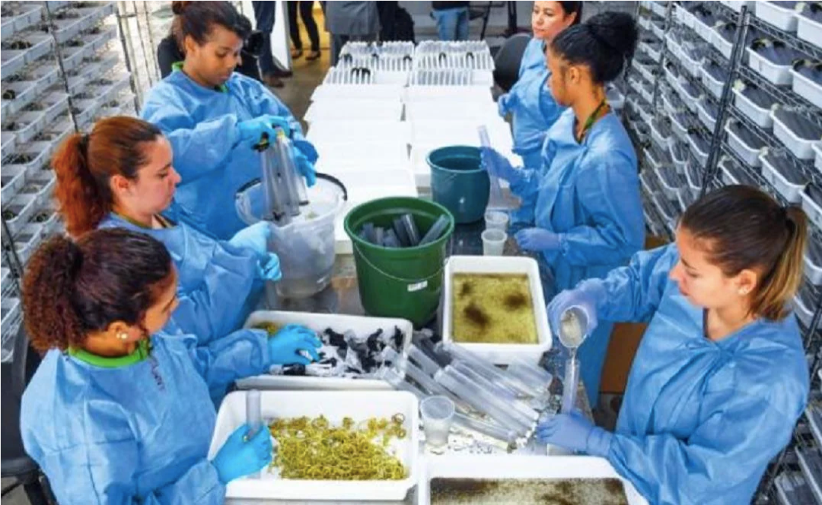 ¡LLEGA CAMPAÑA CONTRA ZIKA!