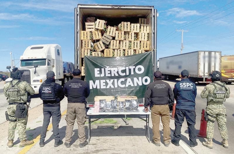 ¿NOPALES MEXICANOS PARA EXPORTAR A EU? NO, PASTILLAS DE FENTANILO