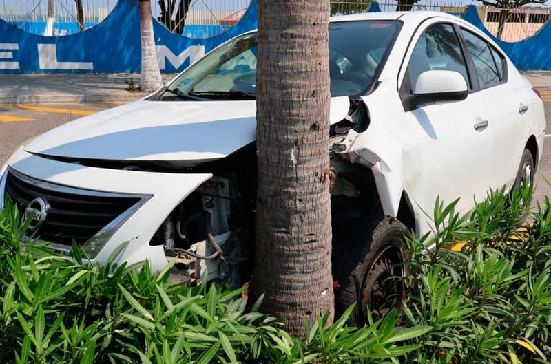 ¡SE LE ATRAVIESA CAFRE Y CHOCÓ CONTRA PALMERA!