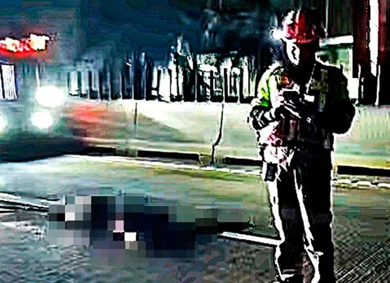 ¡PEATÓN MACHACADO EN LA AUTOPISTA!