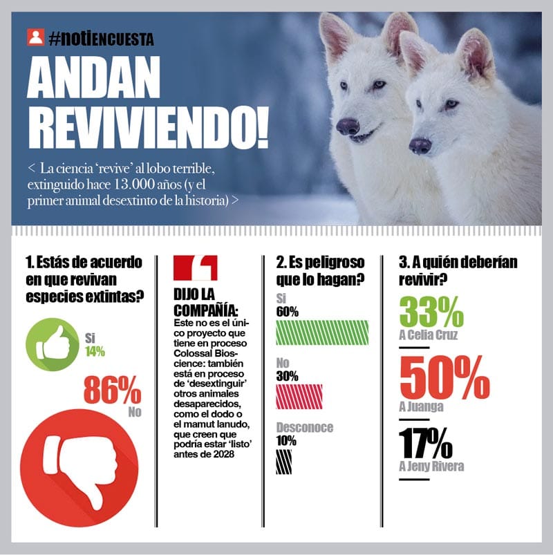 LA ENCUESTA | - ANDAN REVIVIENDO!