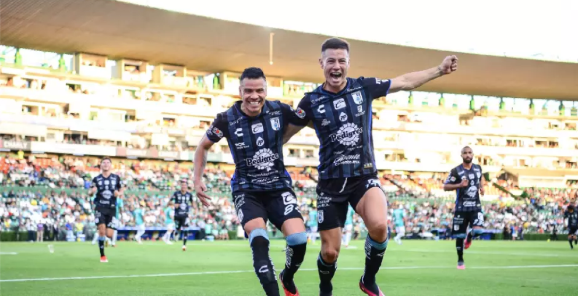 ¡GALLOS Y LEÓN ABREN LA JORNADA 14 EN LA LIGA MX!