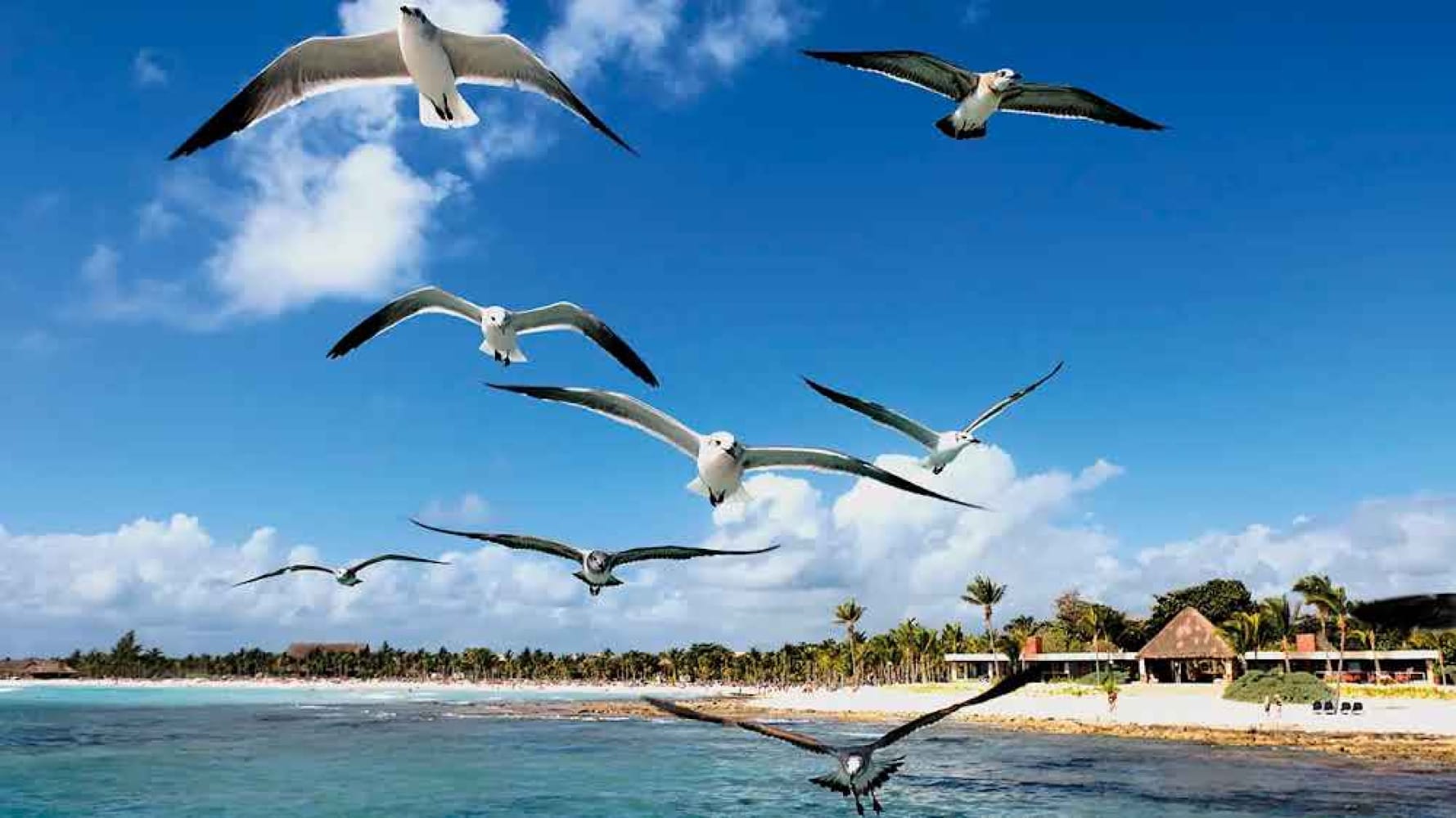 ¡POR RECESIÓN, MÉXICO PERDERÁ TURISMO!