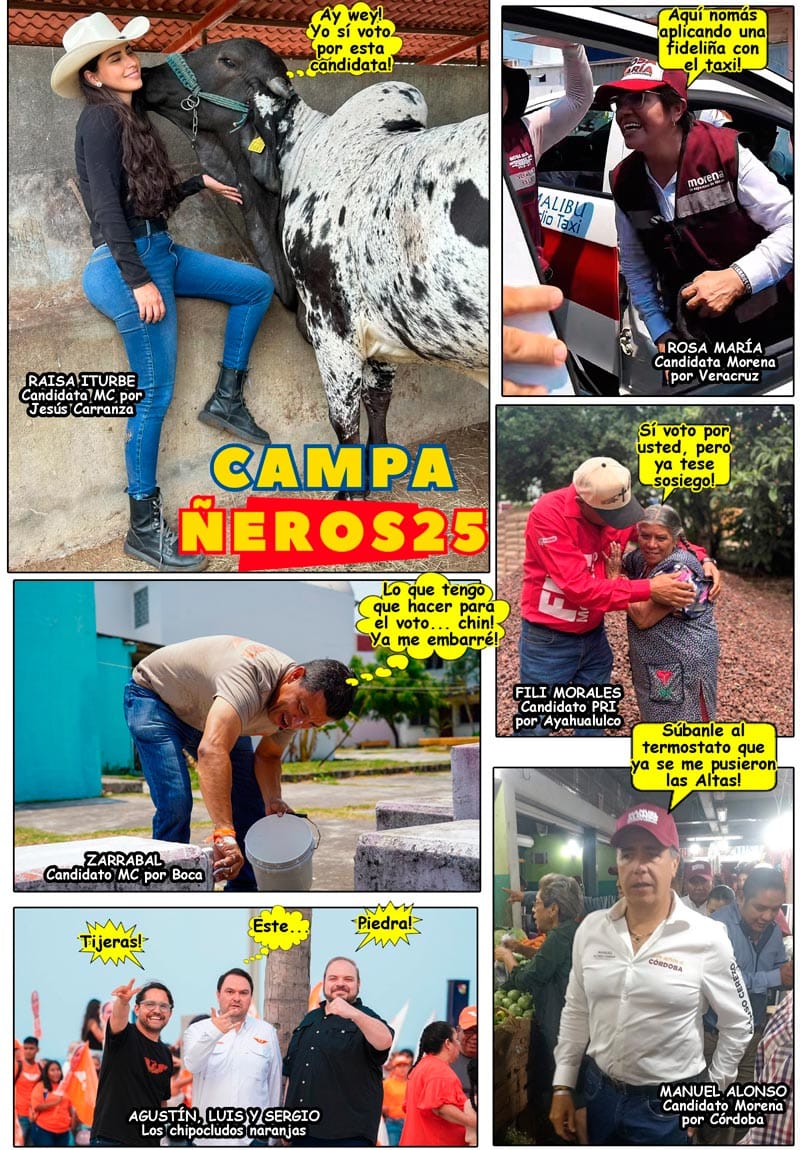 NOTI-MEME | - CAMPAÑEROS 25