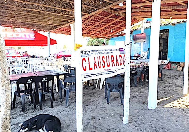 ¡CLAUSURAN PALAPA DE CHACHALACAS!