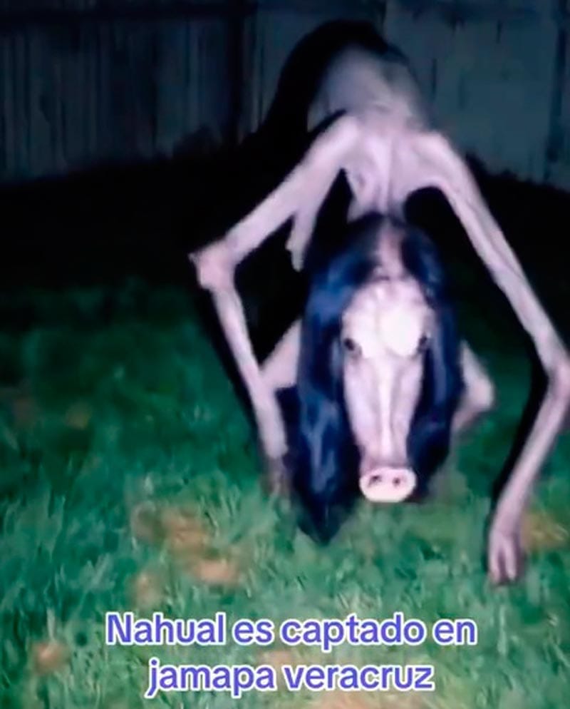 ¡IMPACTA EL NAHUAL DE JAMAPA!