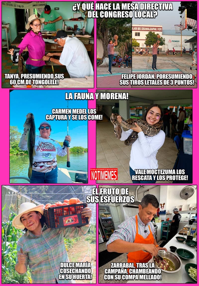 NOTI-MEME | - LA FAUNA Y MORENA!