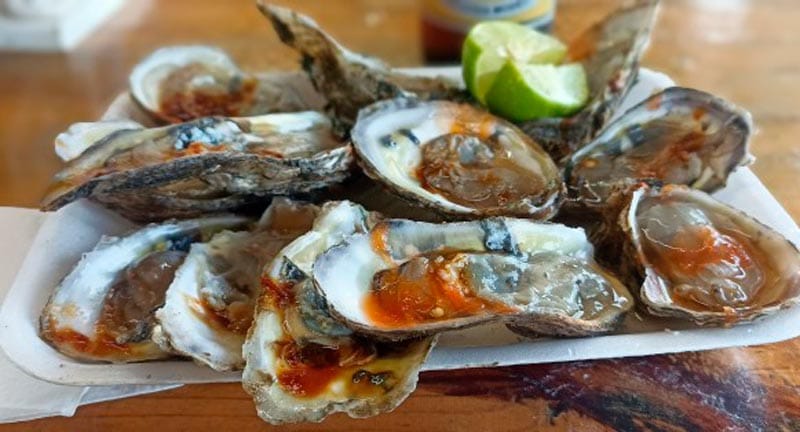 ¡FERIA DEL OSTIÓN EN MANDINGA!