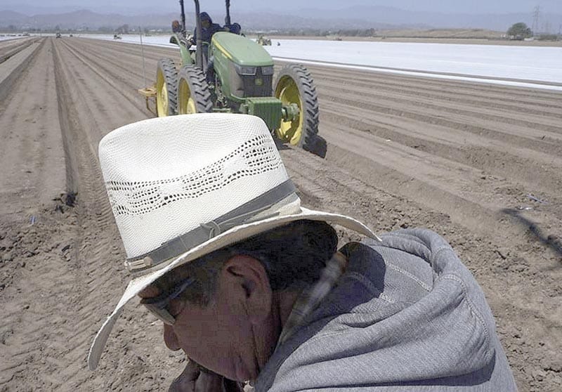 ¡AHUYENTAN REDADAS DE ICE  A TRABAJADORES EN EU!