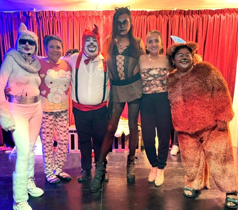 PRESENTAN OBRA PARA AMANTES DE LOS GATOS