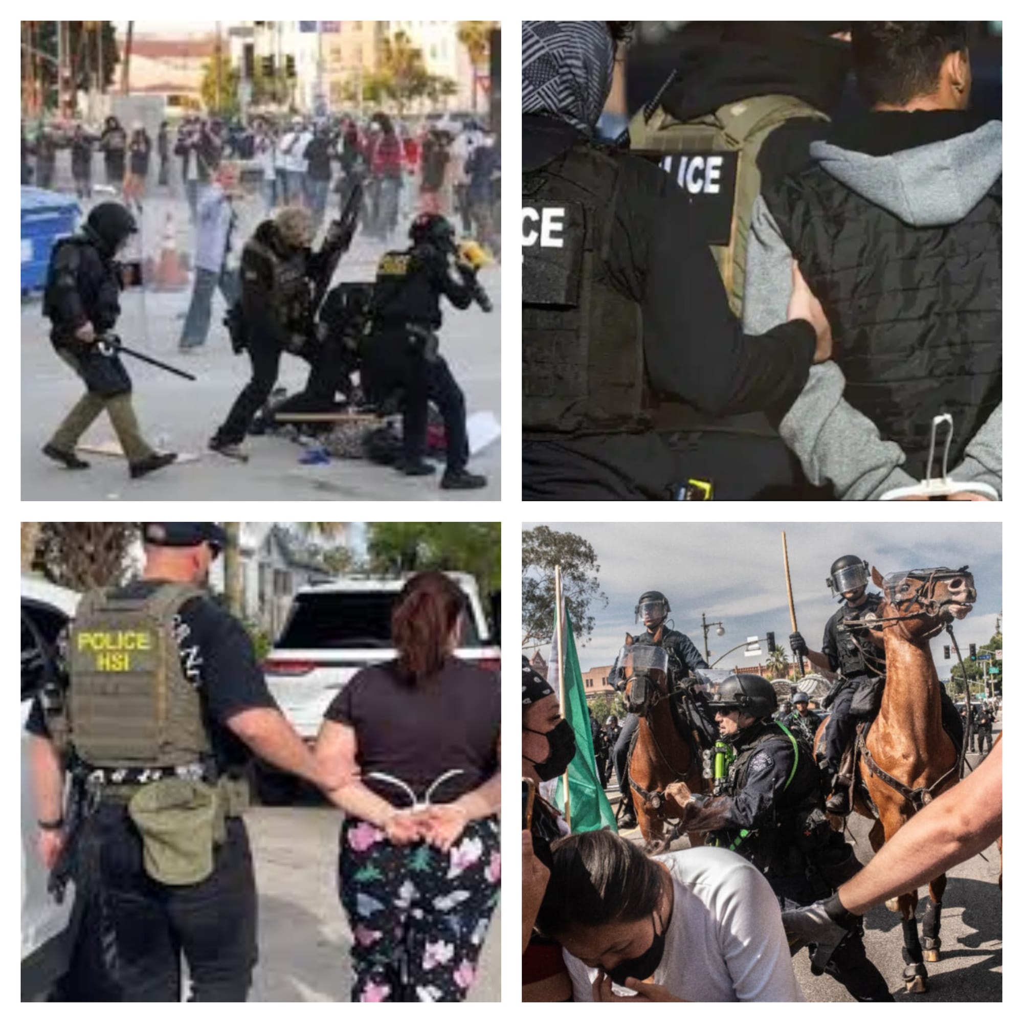 ¡SON 9 LOS VERACRUZANOS! - EN LOS ÁNGELES