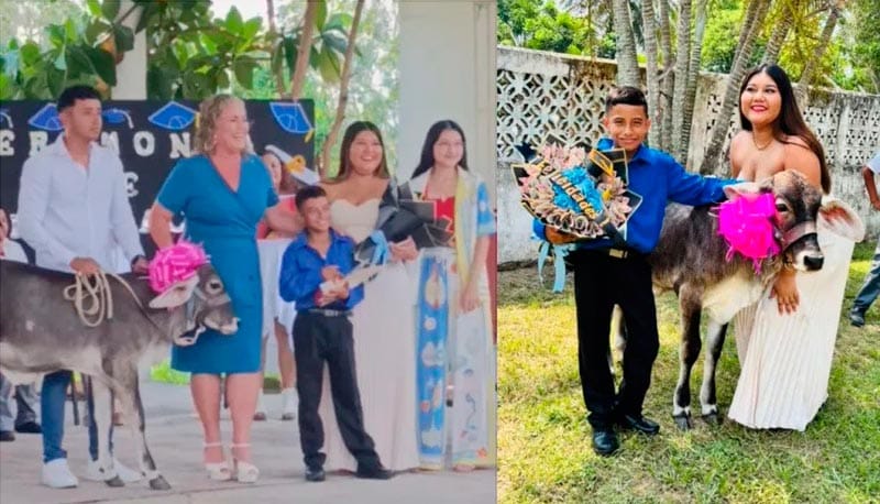 ¡REGALAN OTRO BECERRO EN GRADUACIÓN!