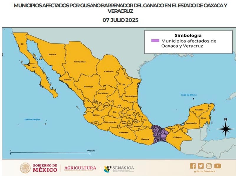 ¡ESTÁ EN 13 MUNICIPIOS! - AY NANITAS