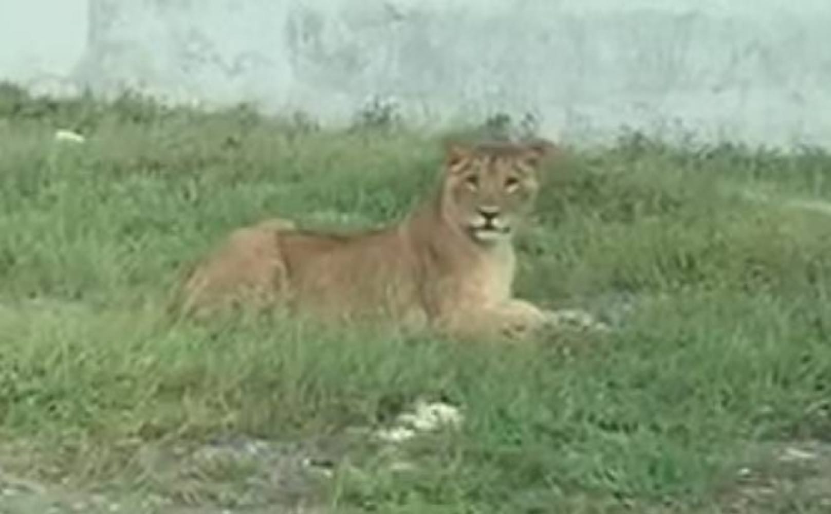 ¡MOVILIZACIÓN EN EL CONCHAL!