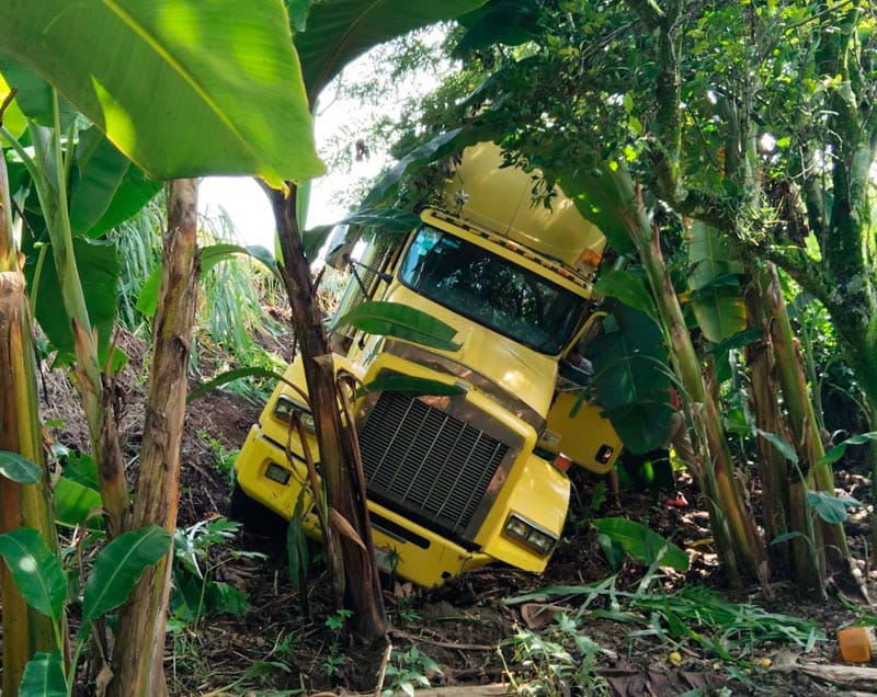 ¡‘MONSTRUO’ SIN FRENOS SALIÓ ‘VOLANDO’ DE LA CARRETERA!