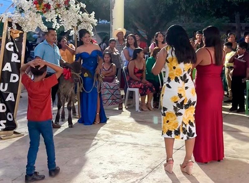 ¡LE DAN UN BECERRO! - Y SIN GUSANO