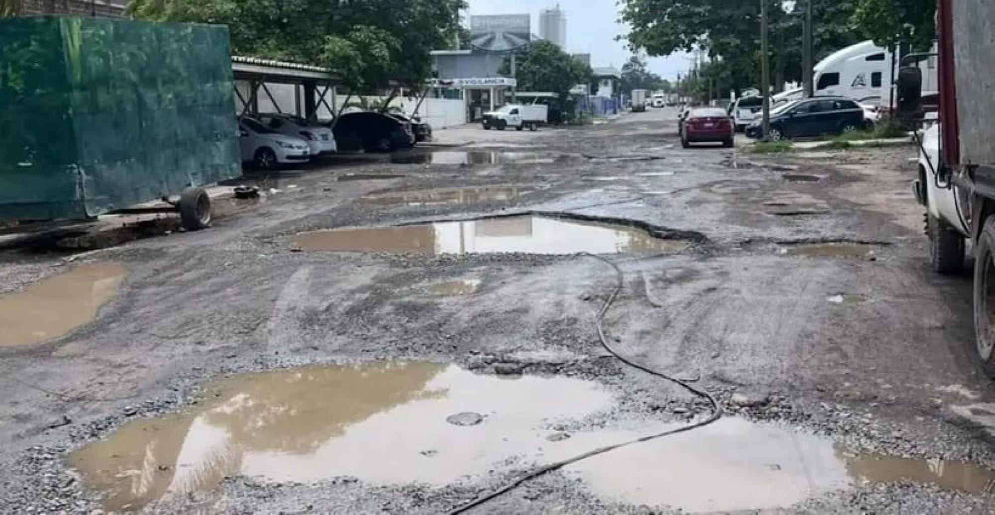 ¡AUDITORÍA A LA BRUNO PAGLIAI!