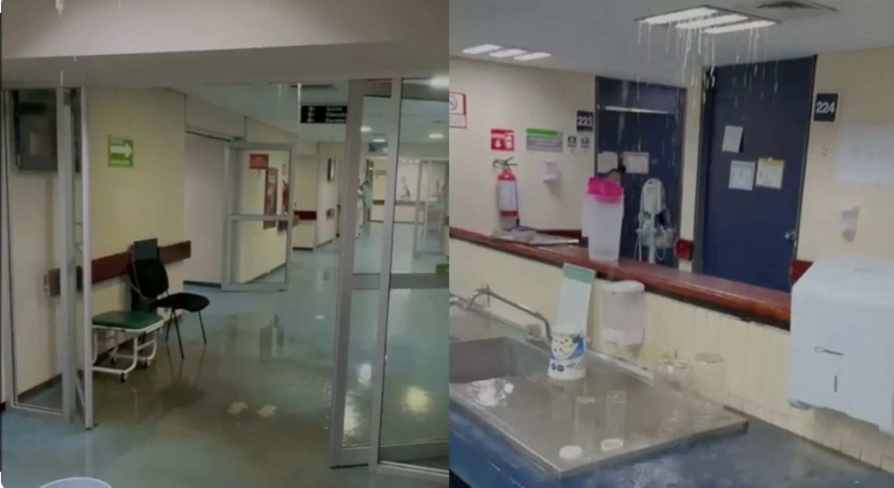 RIEGAN EL TEPACHE EN EL IMSS!