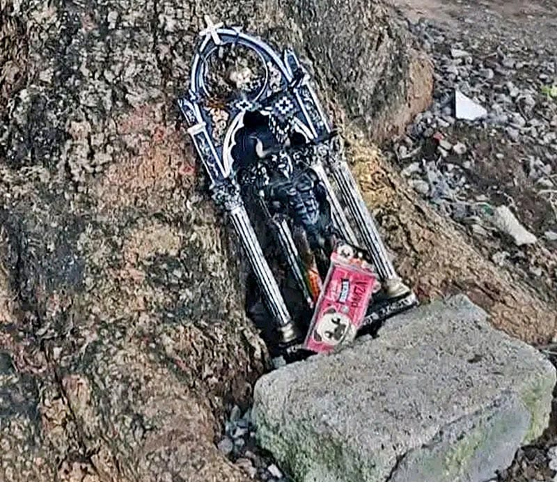 ¡SE APARECE EL CHAMUCO Y LE PEGA UN SUSTO A LOS VECINOS!