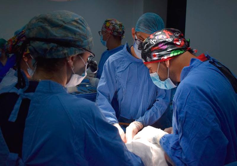 ¡DONA HÍGADO, RIÑONES Y CORNEAS!