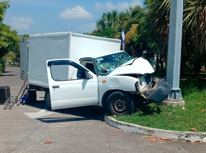 ¡CONDUCTOR CHOCÓ CONTRA POSTE Y SUFRE ATAQUE LETAL DE ABEJAS!