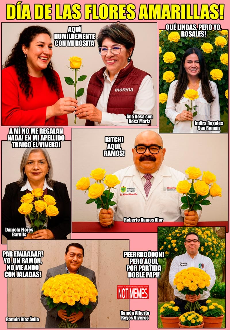 NOTI-MEME | - DÍA DE LAS FLORES AMARILLAS!
