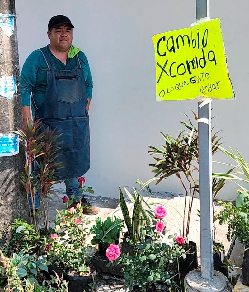 ¡CAMBIAN PLANTITAS POR COMIDA!