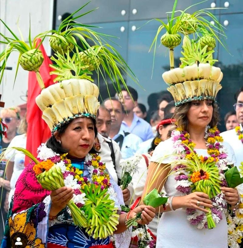 ¡LOS ‘PURIFICAN’! - A MAGISTRADOS Y JUECES